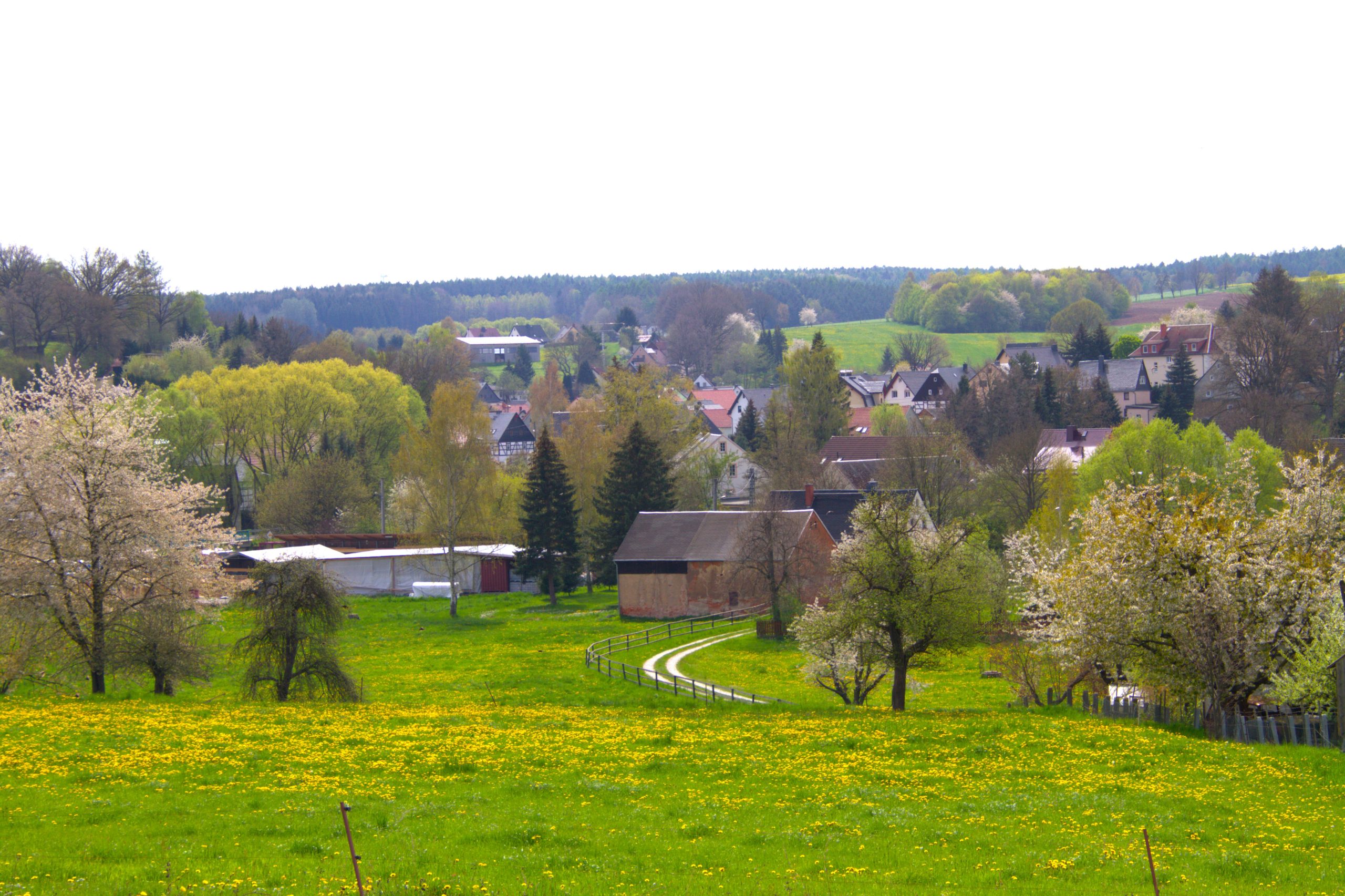 Home Gemeinde St.Egidien